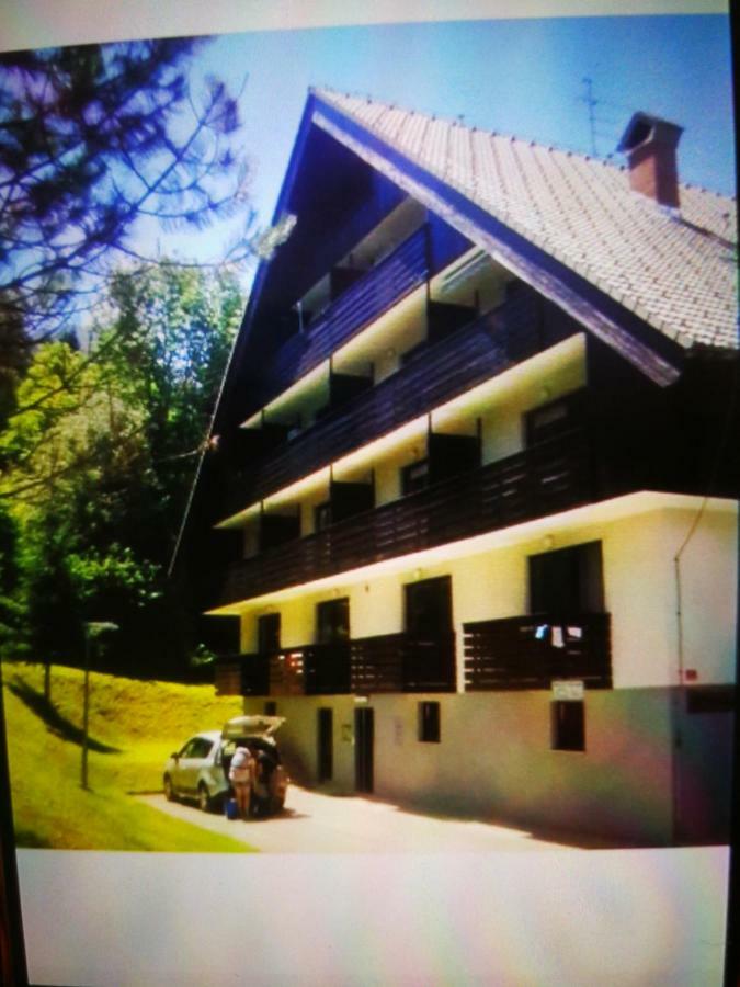 Planika B&M Daire Bohinj Dış mekan fotoğraf