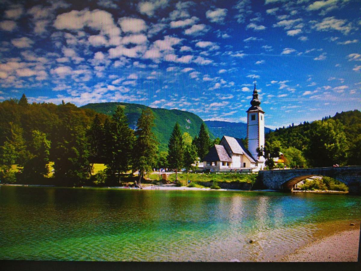 Planika B&M Daire Bohinj Dış mekan fotoğraf