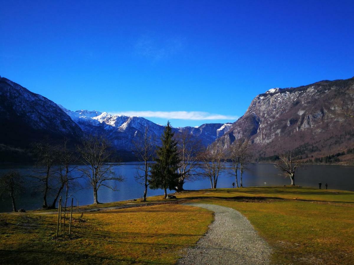 Planika B&M Daire Bohinj Dış mekan fotoğraf