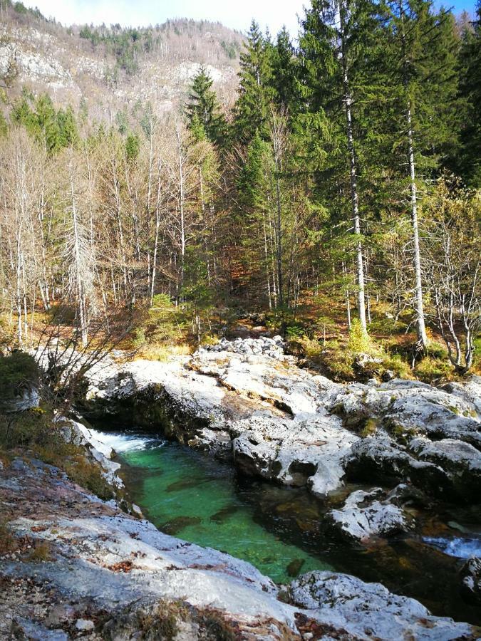 Planika B&M Daire Bohinj Dış mekan fotoğraf