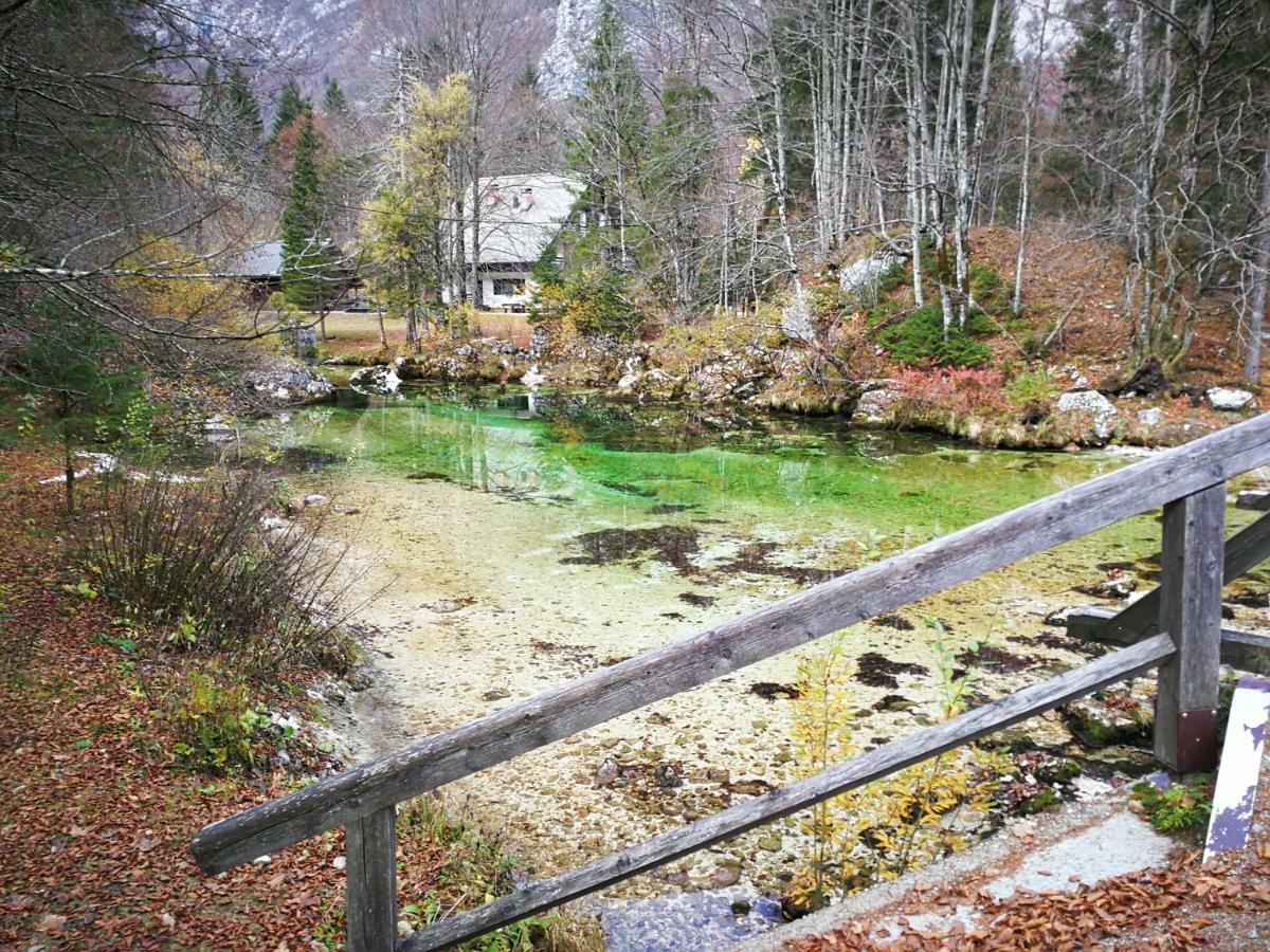 Planika B&M Daire Bohinj Dış mekan fotoğraf