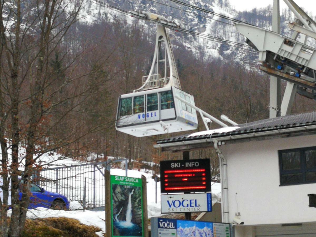 Planika B&M Daire Bohinj Dış mekan fotoğraf