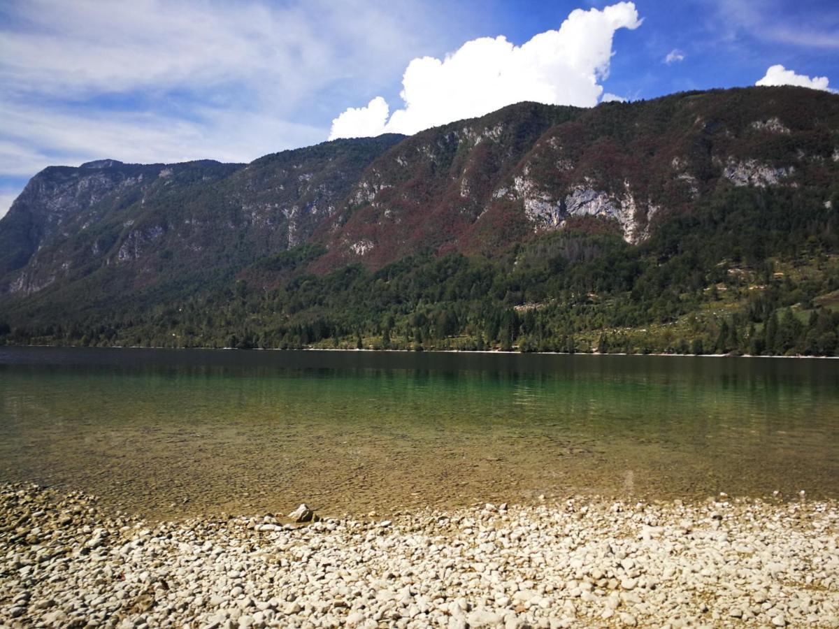 Planika B&M Daire Bohinj Dış mekan fotoğraf
